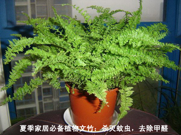 江西師大斯坦福環(huán)境研究中心,歡迎大家的瀏覽,本站是做關(guān)于南昌檢測(cè)和南昌除甲醛的一個(gè)門(mén)戶(hù)網(wǎng)站。 江西師大斯坦福環(huán)境研究中心,歡迎大家的瀏覽,本站是做關(guān)于南昌檢測(cè)和南昌除甲醛的一個(gè)門(mén)戶(hù)網(wǎng)站。