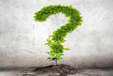 為什么你買的除甲醛植物感覺(jué)沒(méi)作用? 為什么你買的除甲醛植物感覺(jué)沒(méi)作用?